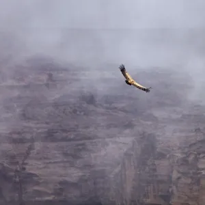 Yemen, Sana a Province, Bokhur Plateau