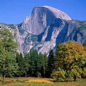 Yosemite National Park / Half Dome & Autumn Leaves, California, USA