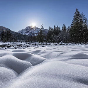 Zelenci Springs in winter, Julian Alps, Kranjska Gora, Slovenia
