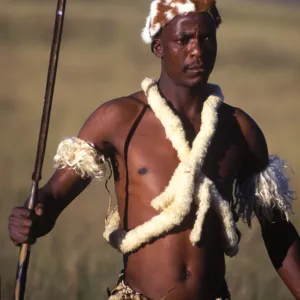 Zulu warrior in traditional dress with fighting