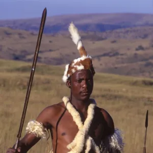 Zulu warrior in traditional dress with fighting