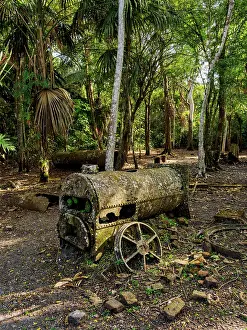 19th Century Prints: 19th-Century Sugar Mill Ruins near Lamanai Archaeological Reserve