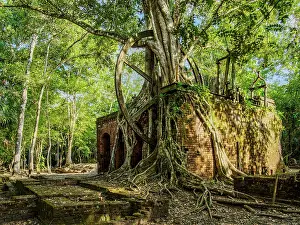 Mill Prints: 19th-Century Sugar Mill Ruins near Lamanai Archaeological Reserve