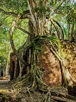 Mill Prints: 19th-Century Sugar Mill Ruins near Lamanai Archaeological Reserve