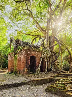 Mill Prints: 19th-Century Sugar Mill Ruins near Lamanai Archaeological Reserve