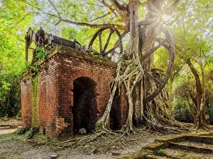 19th Century Prints: 19th-Century Sugar Mill Ruins near Lamanai Archaeological Reserve