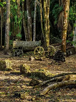 19th Century Prints: 19th-Century Sugar Mill Ruins near Lamanai Archaeological Reserve
