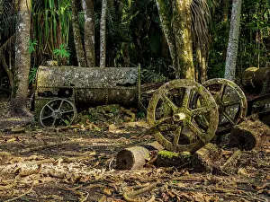 19th Century Prints: 19th-Century Sugar Mill Ruins near Lamanai Archaeological Reserve