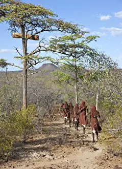 Tribal Ritual Prints: After 2-3 months seclusion, Pokot initiates leave their camp in single file to celebrate Ngetunogh