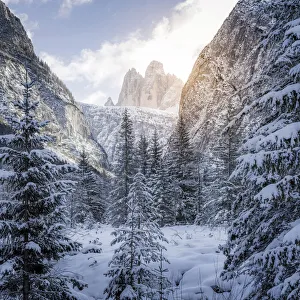 Images Dated 22nd January 2018: 3 Zinnen, Tre Cime Di Lavaredo and snowy landscape, Dolomites Alps, Italy
