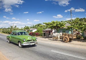 50s American car passing Ox and cart, Pinar del Rio Province, Cuba 50s American car passing Ox and cart, Pinar del Rio Province, Cuba
