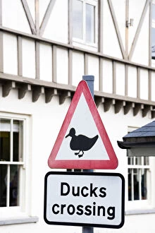 Images Dated 15th April 2016: aA┬ÇA┬£Ducks crossingaA┬ÇA┬Ø road sign in the village of Symonds Yat, Herefordshire, UK