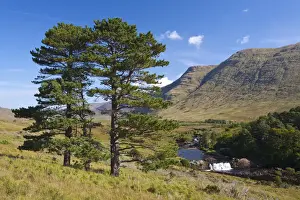 County Mayo Prints: Aasleagh falls on the Erriff River, Connemara National Park, Connemara, Co. Mayo, Ireland
