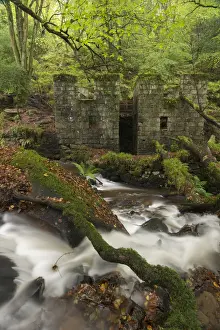 Abandoned 19th Century gunpowder works at Kennall Vale, now a wooded nature reserve