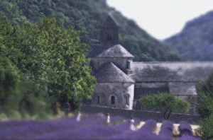 Lavander Prints: Abbaye de Sananque