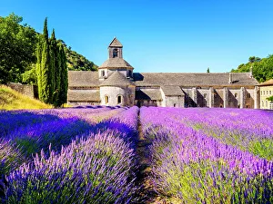 Abbaye Prints: Abbaye de Senanque, Lavender Field, Provence, Alpes Cotes d'Azur, France
