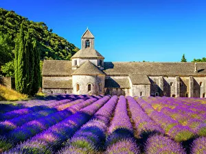 Provence Prints: Abbaye de Senanque, Lavender Field, Provence, Alpes Cotes d'Azur, France
