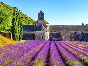 Abbaye Prints: Abbaye de Senanque, Lavender Field, Provence, Alpes Cotes d'Azur, France
