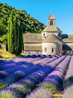 Provence Prints: Abbaye de Senanque, Lavender Field, Provence, Alpes Cotes d'Azur, France