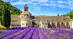 Abbaye de Senanque, Lavender Field, Provence, Alpes Cotes d'Azur, France