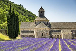 Abbaye de Senanque, Provence, France