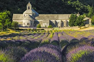 Vaucluse Gallery: Abbey de Senanque and Lavender fields near Gordes, Vaucluse, Provence, France