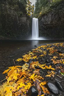 Leaves Gallery: Abiqua Falls in autumn. Scotts Mills, Marion county, Oregon, USA