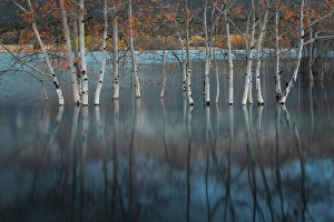 Abraham Lake, Clearwater County, Alberta, Canada
