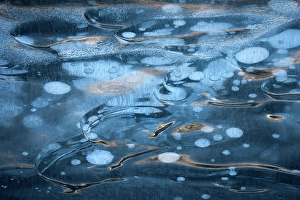 Clearwater County Prints: Abraham Lake, Clearwater County, Alberta, Canada