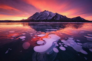 Alberta Prints: Abraham Lake, Clearwater County, Alberta, Canada