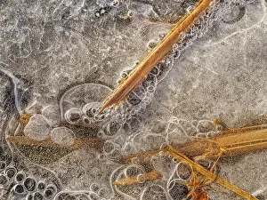 Abstract Image Prints: Abstract patterns in ice on frozen pond surface, Thornton, Ontario, Canada