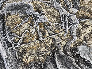 Abstract Image Prints: Abstract of rock details in Nunavik, Quebec, Canada