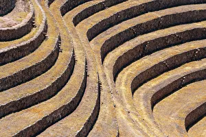 Peru Prints: Abstract of terraces in Moray, Sacred Valley, Urubamba Province, Cusco Region, Peru