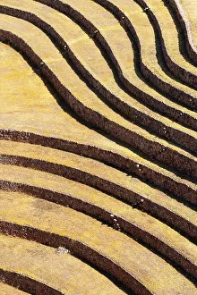 Urubamba Valley Prints: Abstract of terraces in Moray, Sacred Valley, Urubamba Province, Cusco Region, Peru