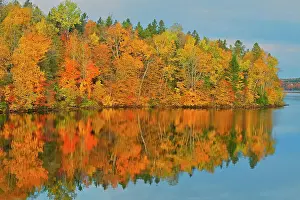 New Brunswick Prints: Acadian forest in autumn foliage reflected in the Saint John River Mactaquac