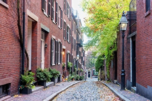 Street Light Prints: Acorn Street in the Historic District Boston, Massachusetts, USA