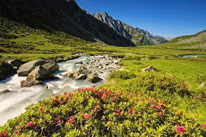 Adamello Park Gallery: Adame valley in Adamello park, Brescia province, Lombardy, Italy