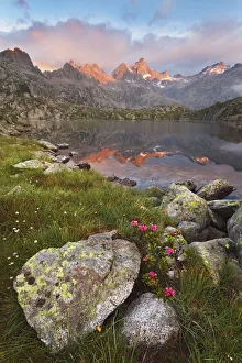 Natural Park Prints: Adamello Brenta natural park, Trentino Alto Adige, Italy
