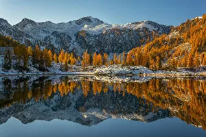 Images Dated 24th February 2017: Adamello - Brenta park, Trentino Alto Adige district, Trento province, Italy, Europe