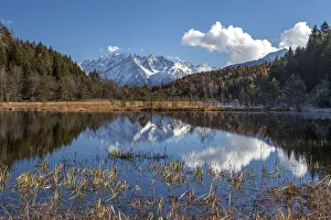 Adamello Gallery: The Adamello Group is reflected in the swamp of the reserve Pian of Gembro at fall