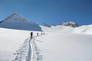 Adamello Group Gallery: Adamello group, ski mountaineering at Pisgana glacier, Lombardy, Italy