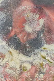 West Coast Prints: aerial abstract taken by drone of icelandic volcanic area during a summer day