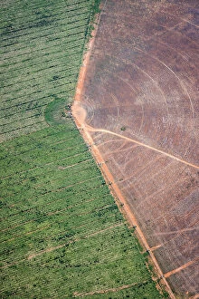 Images Dated 29th August 2023: Aerial of farmland, Menindee Lakes, New South Wales, Australia