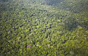 Amazon Collection: Aerial view of Amazon Rainforest, Manaus, Amazonas, Brazil