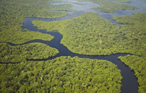 Images Dated 12th October 2012: Aerial view of Amazon Rainforest and tributary of Rio Negro, Manaus, Amazonas, Brazil