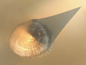 Shadow Prints: Aerial view of the Arita Cone (Cono de Arita) at sunrise in the Arizaro Salt Flat