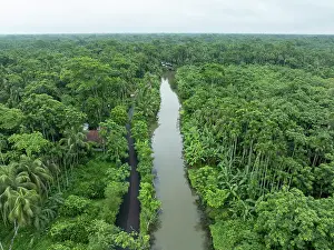 Agricultural Prints: Aerial view of a boat sailing at floating guava garden with beautiful green landscape in Pirojpur