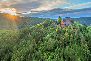 Wine Prints: Aerial view on Burg Arras at sunset, Alf, Mosel valley, Rhineland-Palatinate, Germany