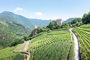 Hillside Prints: Aerial view of a castle and vineyards in Trentino, Italy. A scenic landscape. Segonzano