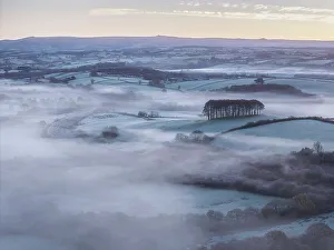 November Prints: Aerial view of Cookworthy Knapp (Nearly Home Trees)